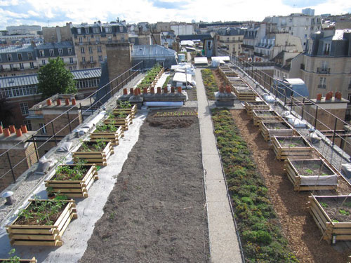 Look up, yards and vegetable patches take over the roofs of Paris!