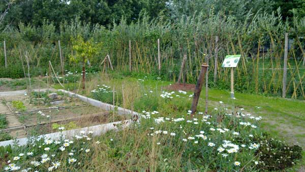 The Villette’s Seasonal Gardens