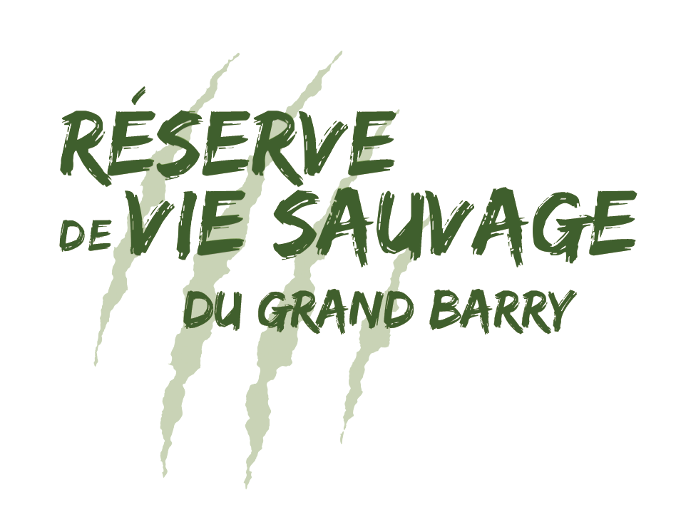 label-reserve-sauvage-green-hotels-paris-eiffel-trocadero-gavarni