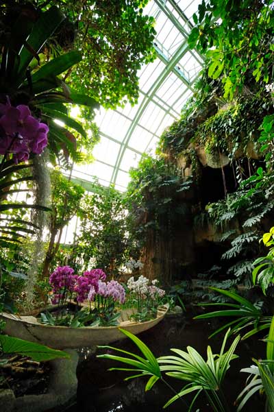 exposition-mille-et-une-orchidees-jardin-des-plantes-credit-F-G-Grandin-MNHN-green-hotels-paris-eiffel-trocadero-gavarni