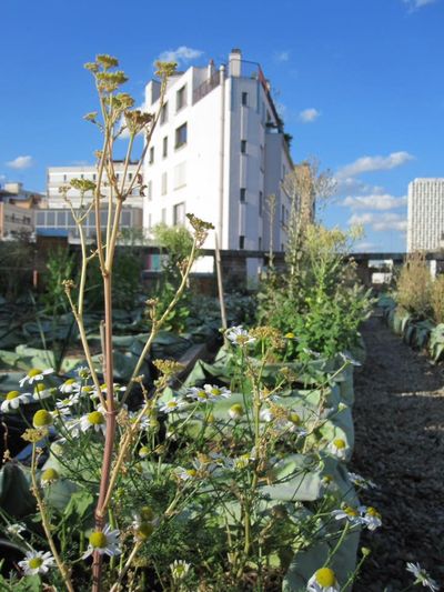 association-veni-verdi-green-hotels-paris-eiffel-trocadero-gavarni