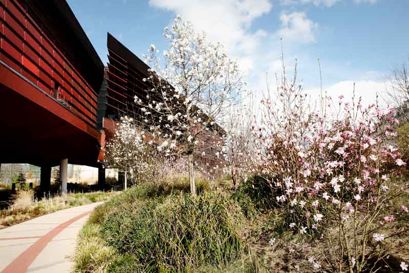 Jardin d’Eté: activities to live in family at the musée du quai Branly