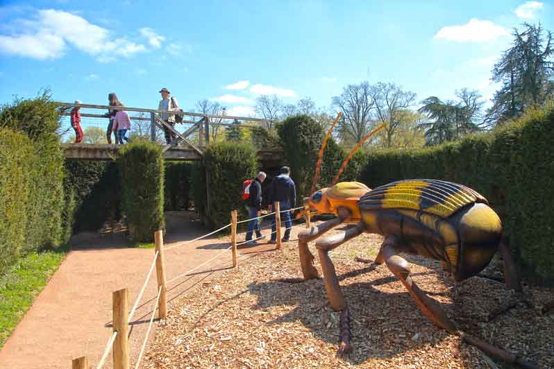 Le Grand Défi du labyrinthe in Thoiry