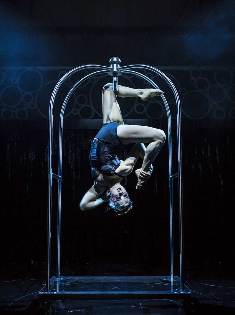 38th edition of the Festival Mondial du Cirque de Demain
