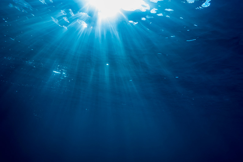 Les abysses océaniques maintenant pollués