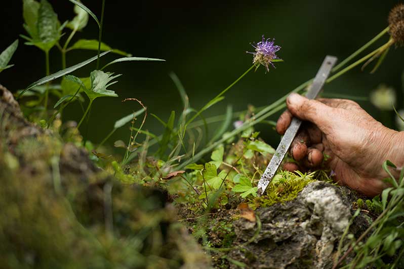 Exposition : La biodiversité, ça se cultive !