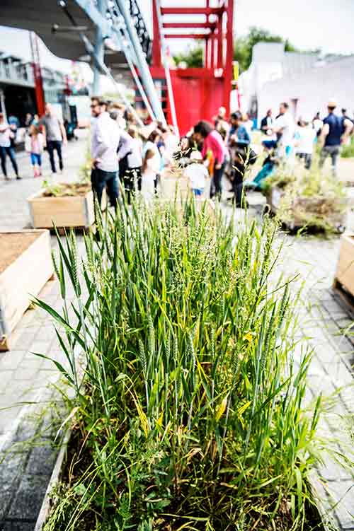 Jardins en Folies 2018: la Villette’s kid-friendly nature festival!