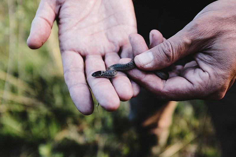 The 12th edition of the Fête de la Nature celebrates the invisible