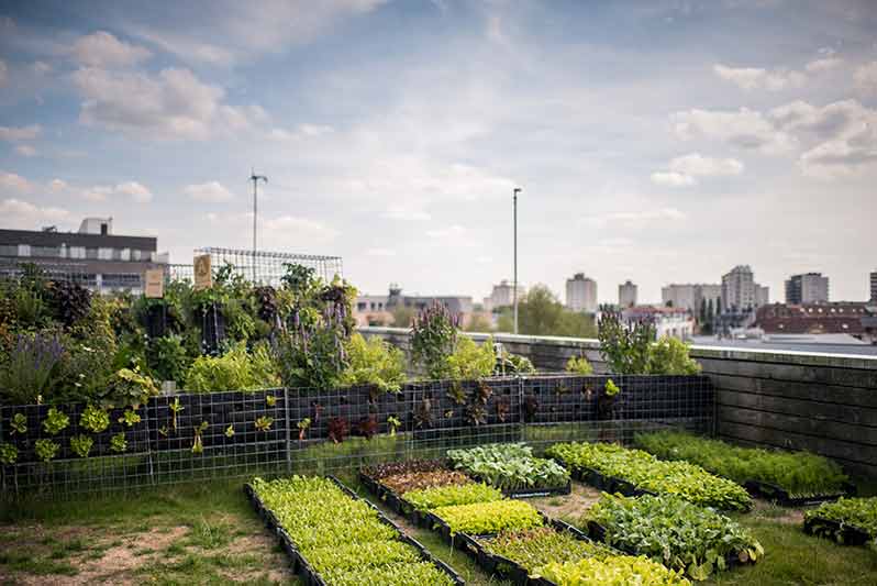 Le Jardin Suspendu: the garden rooftop of South Paris