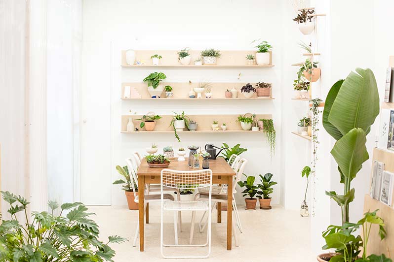 Leaf: the Village Saint-Martin’s plant concept store