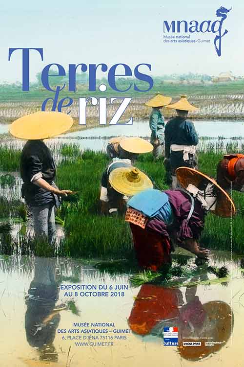 Exposition : Terres de riz