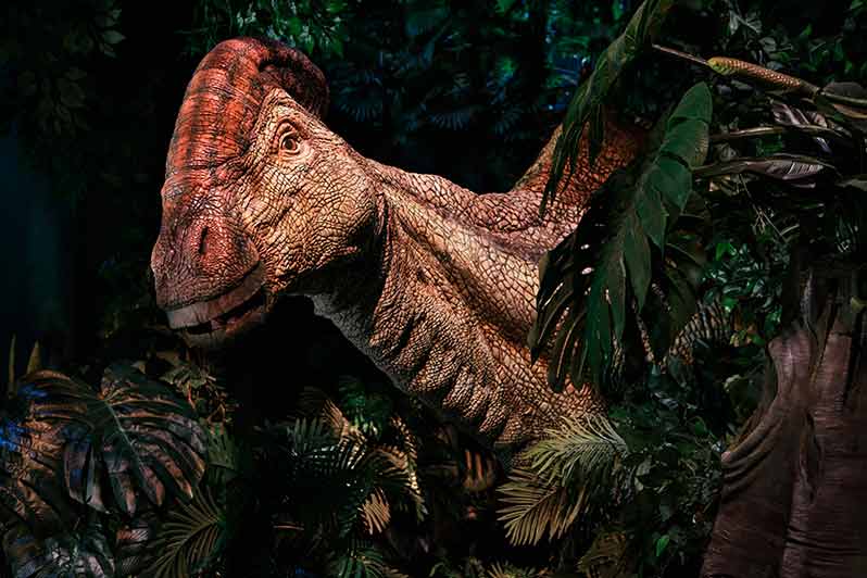 Exposition : Jurassic World l’Exposition