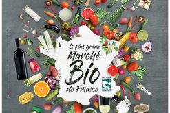 In 2018, the Marjolaine fair celebrates the beautiful practices of organic farming!