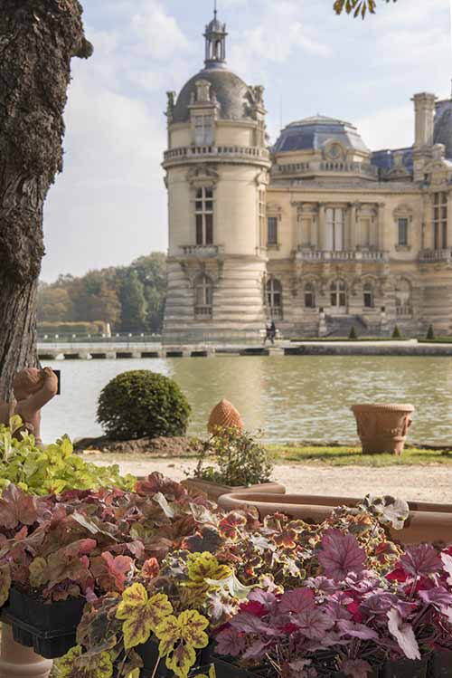 8th edition of the Journées des Plantes de Chantilly