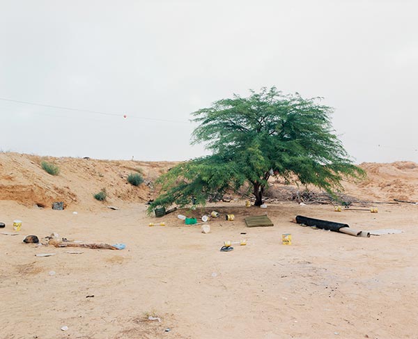 Exposition : Ron Amir. Quelque part dans le désert