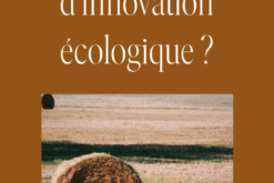 Straw insulation : an ecological innovation ?
