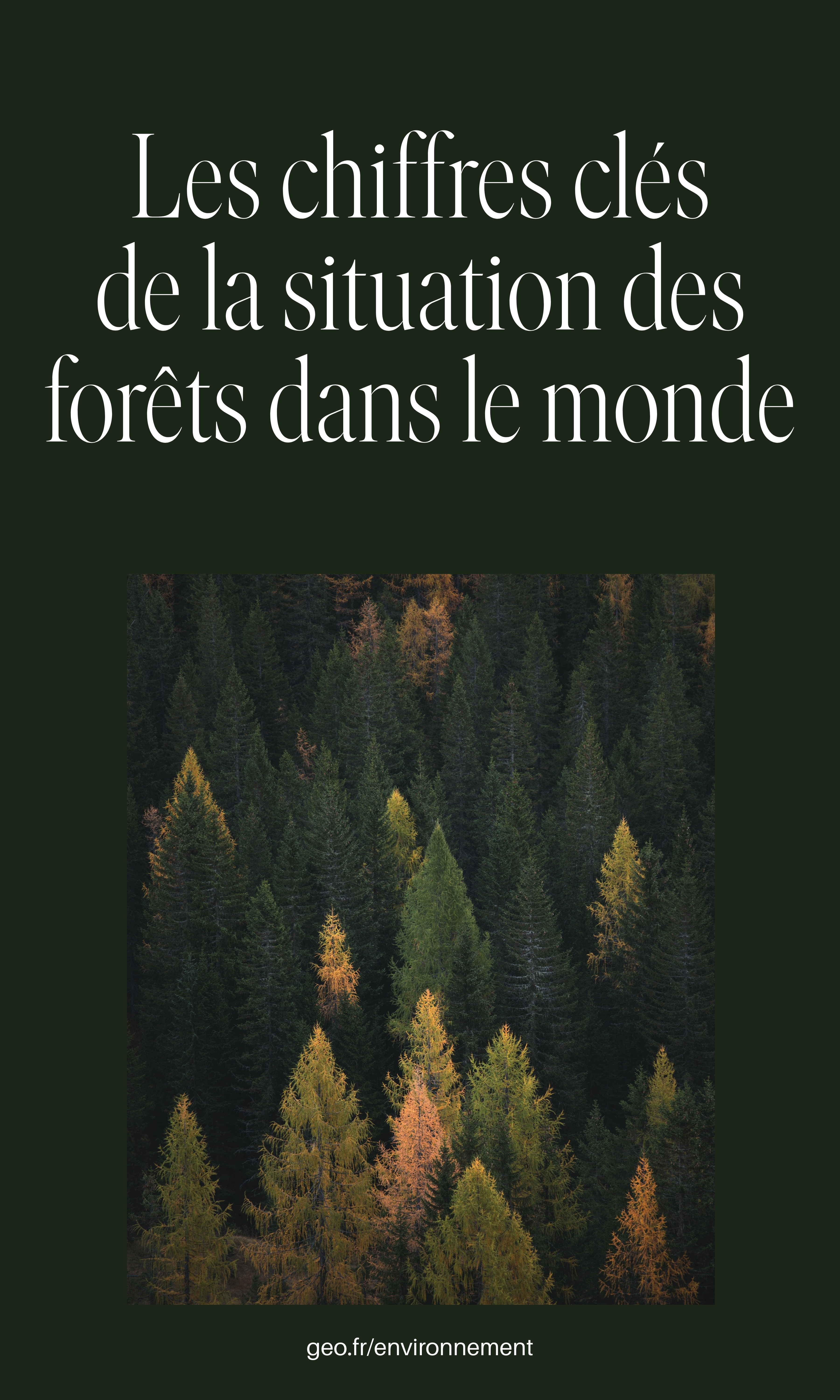 Key figures  as regards the situation of the forests in the world