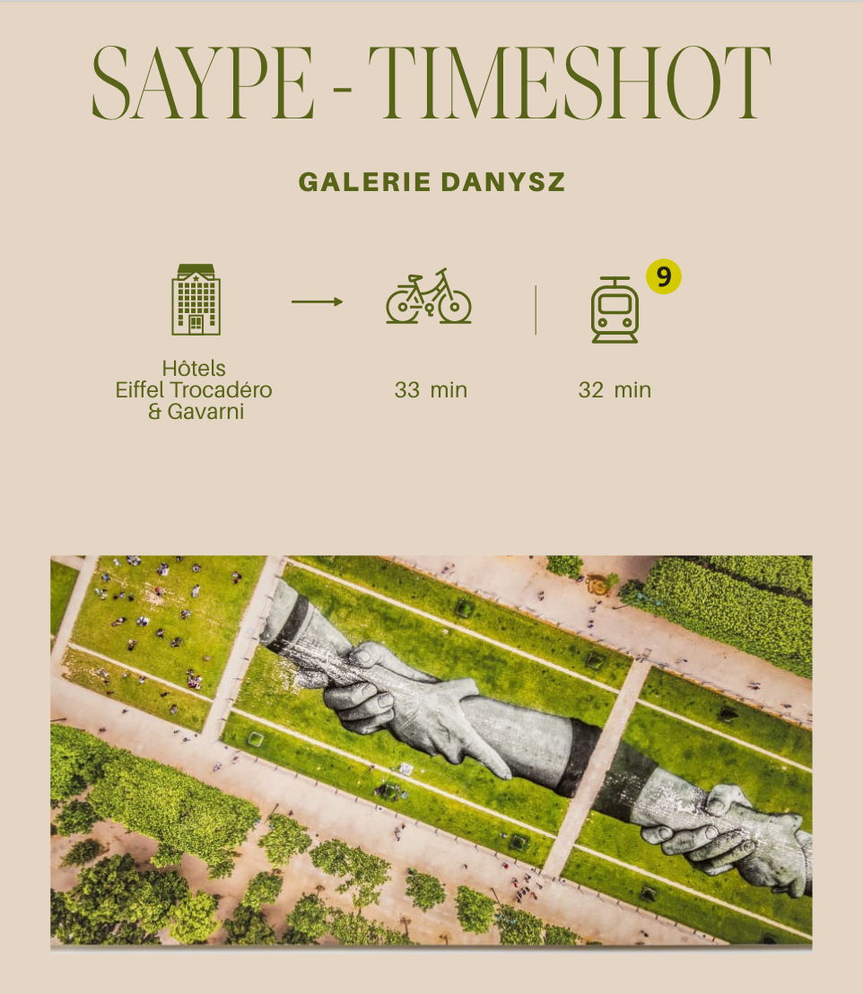 Saype , Timeshot, the exhibition !