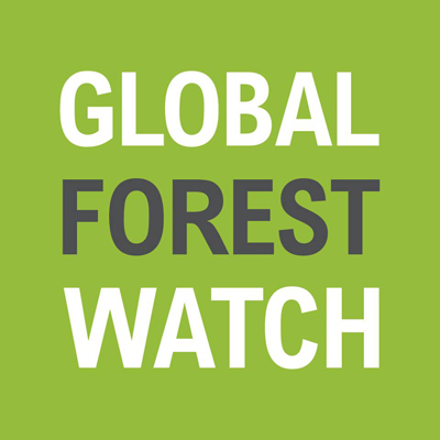 Google lance un observatoire mondial contre la déforestation