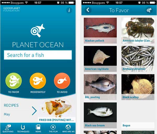 Planet Ocean: an app that helps you choose your fish