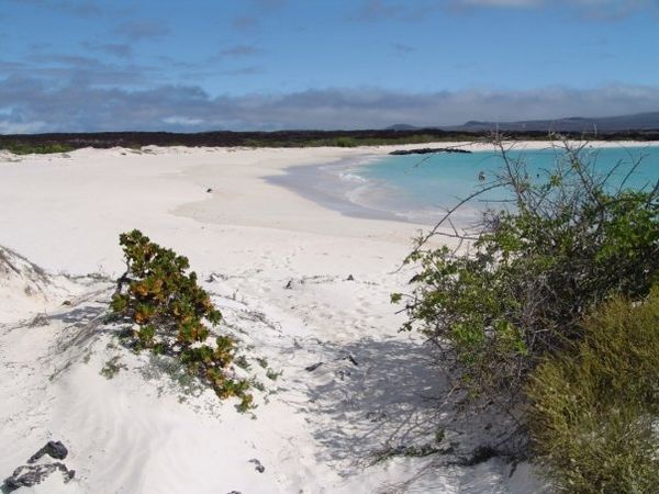 Galápagos : Interdiction de ramener des souvenirs biologiques ou géologiques