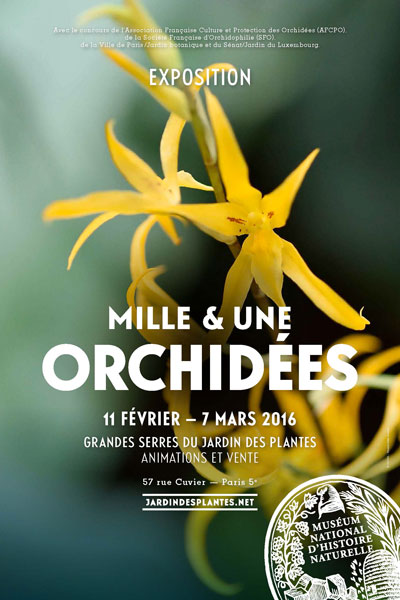 Exhibition: Mille et une orchidées