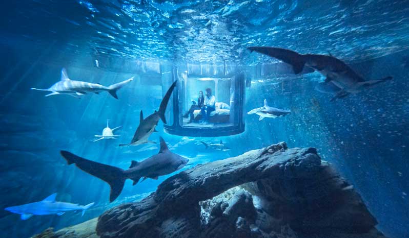 Discover the Aquarium de Paris’s backstage