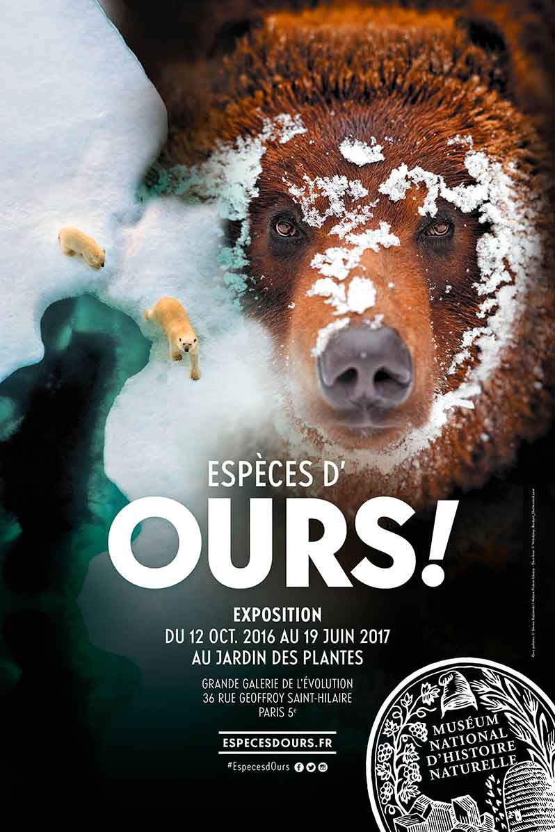 Exhibition: Espèces d’ours